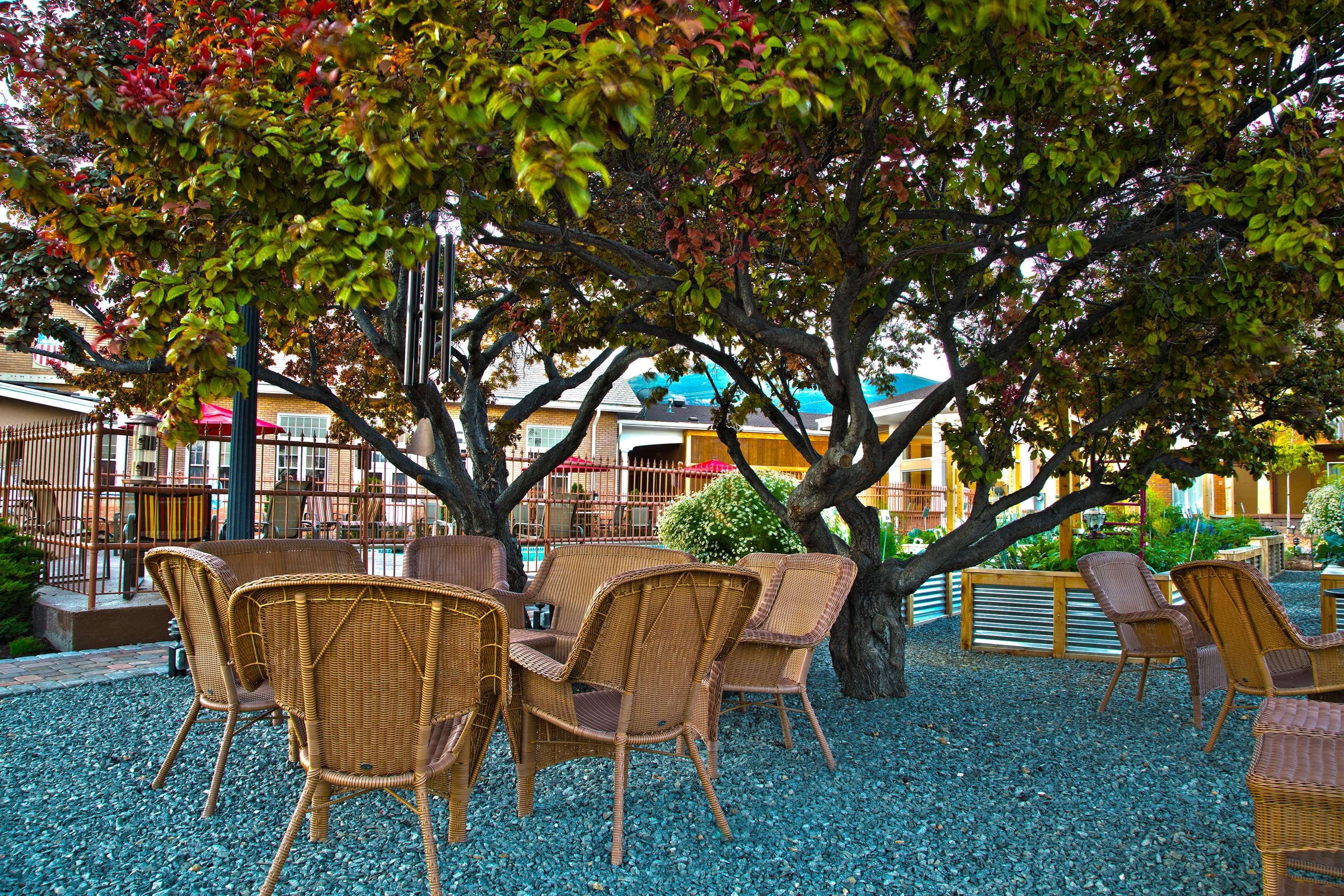 Best Western Plus Cedar City Exterior foto